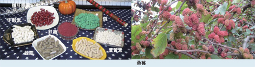 保健食品